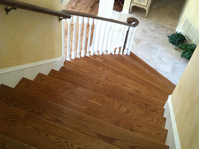 Hardwood staircase with painted risers